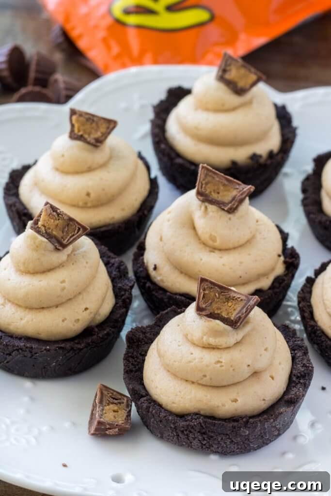 Effortless Peanut Butter Cheesecake Delights 3 Mini peanut butter cheesecakes with an Oreo crust and creamy smooth peanut butter filling, ready to be enjoyed.