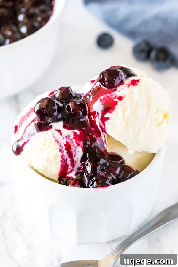 A bowl of vanilla ice cream topped with blueberry sauce, with the warm blueberry sauce gently melting the ice cream