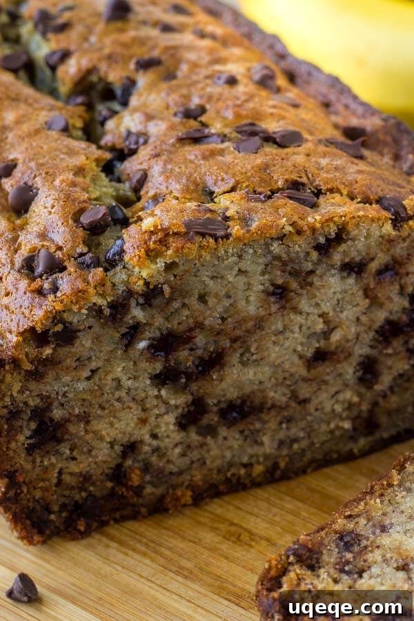 Chocolate chip banana bread is moist, tender, big on banana flavor and filled with chocolate chips. 