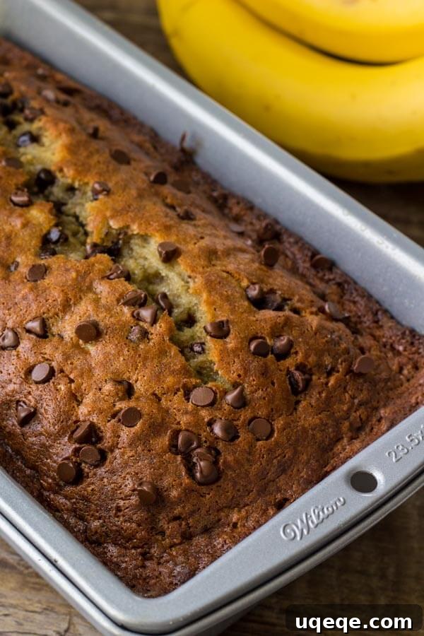 Chocolate Chip Banana Bread - learn the secrets of how to prevent banana bread from sinking