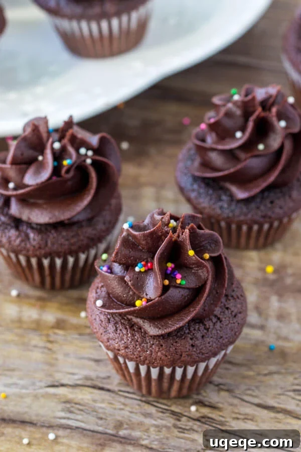 Bite-Sized Chocolate Bliss 3 Miniature chocolate cupcakes with chocolate frosting.