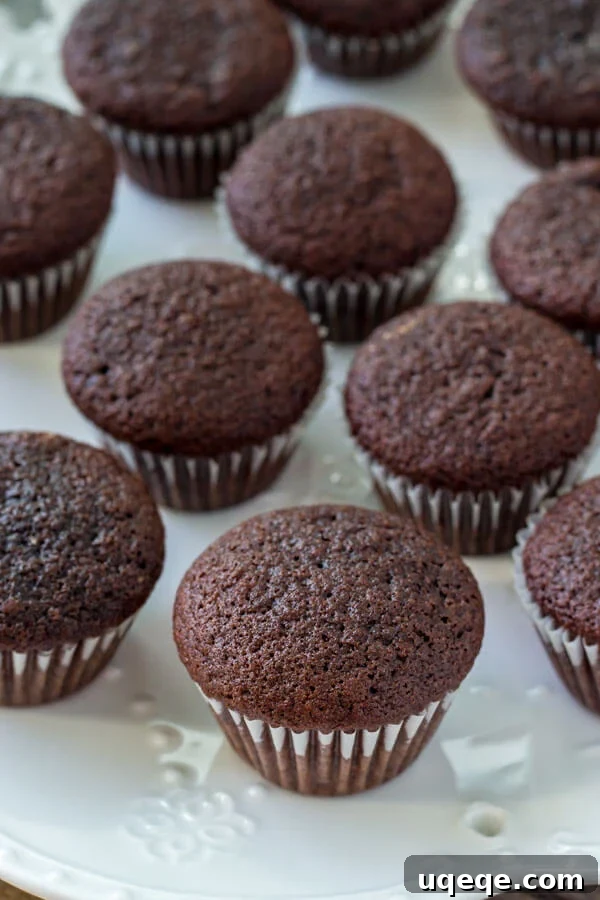 Bite-Sized Chocolate Bliss 4 Mini chocolate cupcake recipe - learn all the secrets to making perfect mini cupcakes everytime