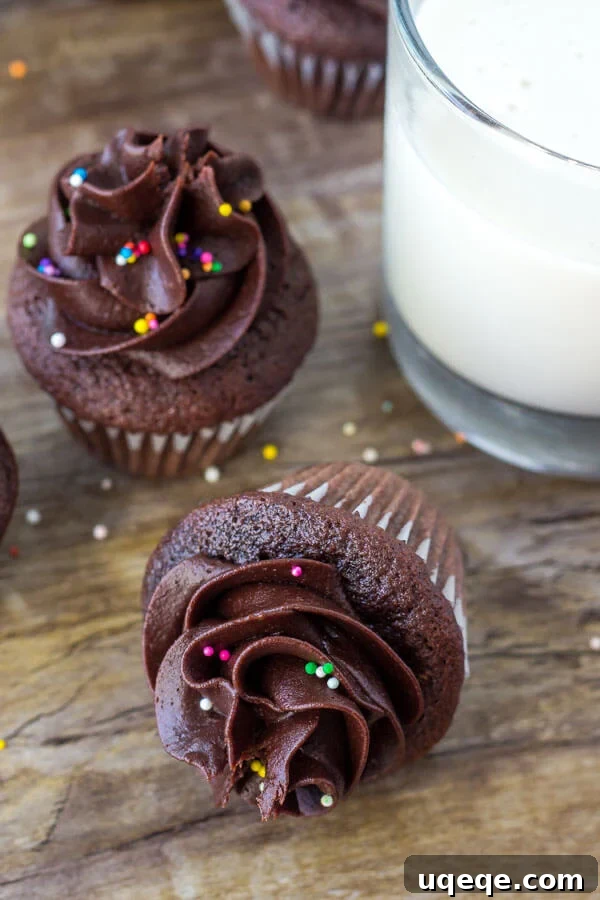 Bite-Sized Chocolate Bliss 6 Mini chocolate cupcake recipe - these are moist, fudgy & delicious.