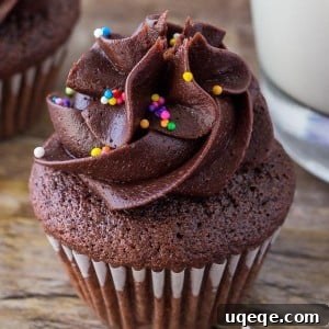 These mini chocolate cupcakes are moist, deliciously fudgy and topped with a swirl of chocolate frosting. Learn all the secrets to making perfect miniature cupcakes.