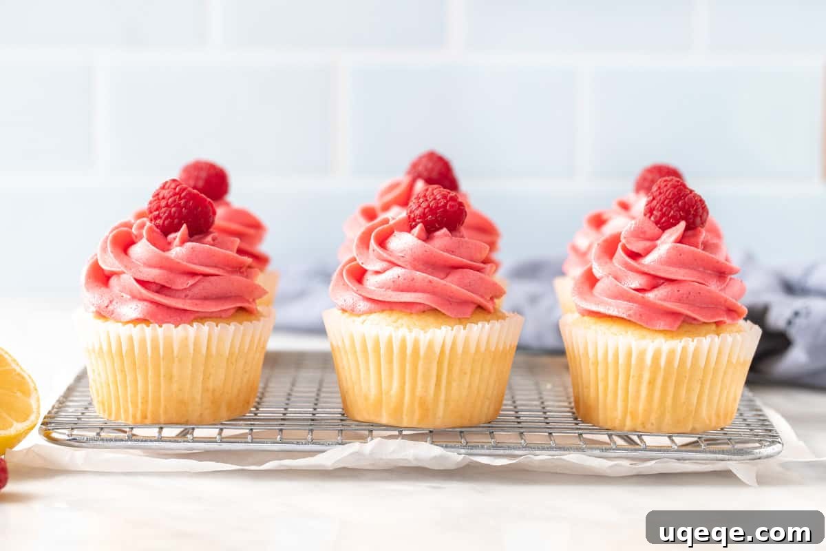 Zesty Raspberry Lemon Cupcakes 3 6 lemon raspberry cupcakes each with a raspberry on top