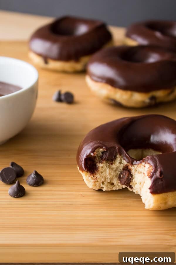 Choc-Chip Doughnut Bliss 2 Delicious Baked Chocolate Chip Doughnuts with Chocolate Glaze - The perfect fluffy cake doughnuts filled with chocolate chips and dipped in a rich chocolate glaze, ready for breakfast or dessert!