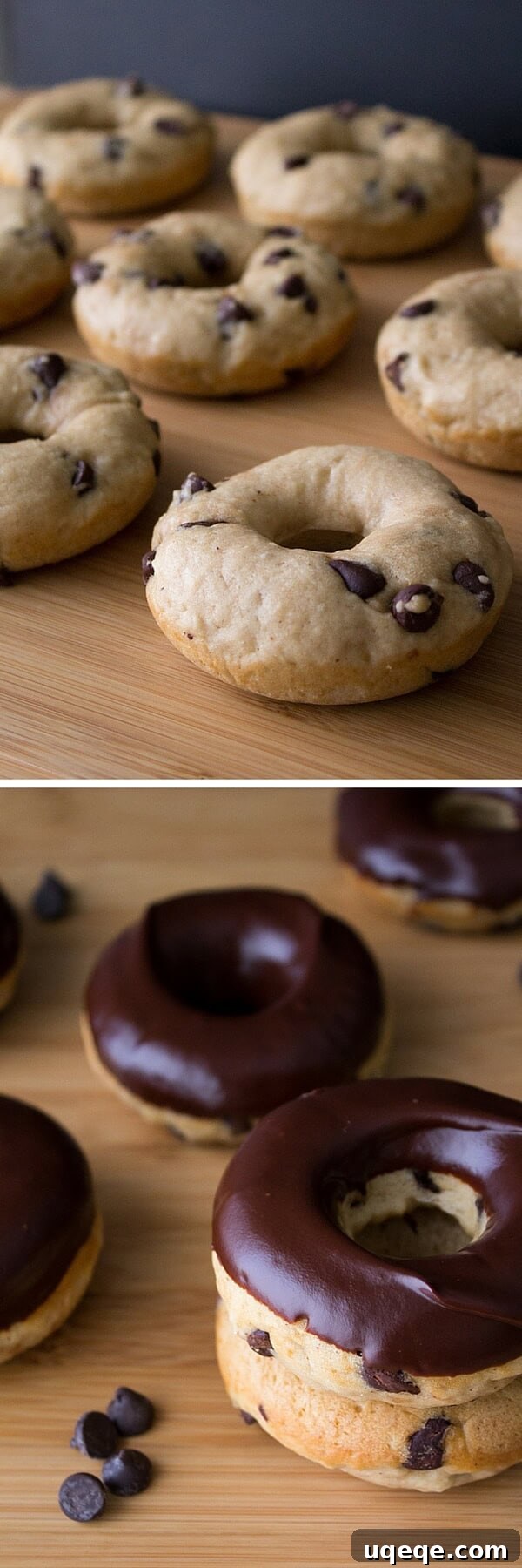 Choc-Chip Doughnut Bliss 3 Close-up of fluffy Chocolate Chip Doughnuts. Cake doughnuts baked in a doughnut pan, packed with chocolate chips and dipped in chocolate glaze – a truly delectable breakfast or dessert choice!