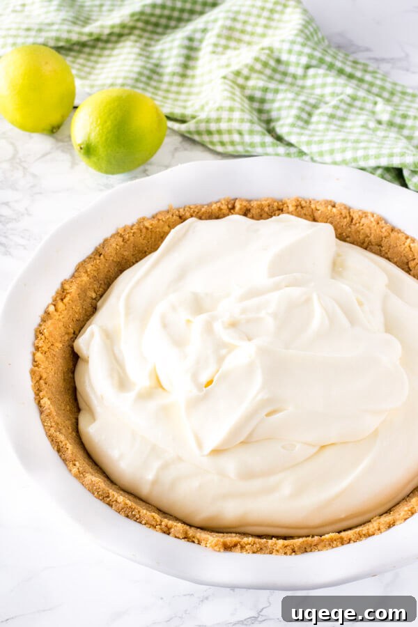 Effortless Key Lime Bliss 5 No bake key lime pie filling after being spooned into the graham crust and before be smoothed on top and going in the fridge to set.