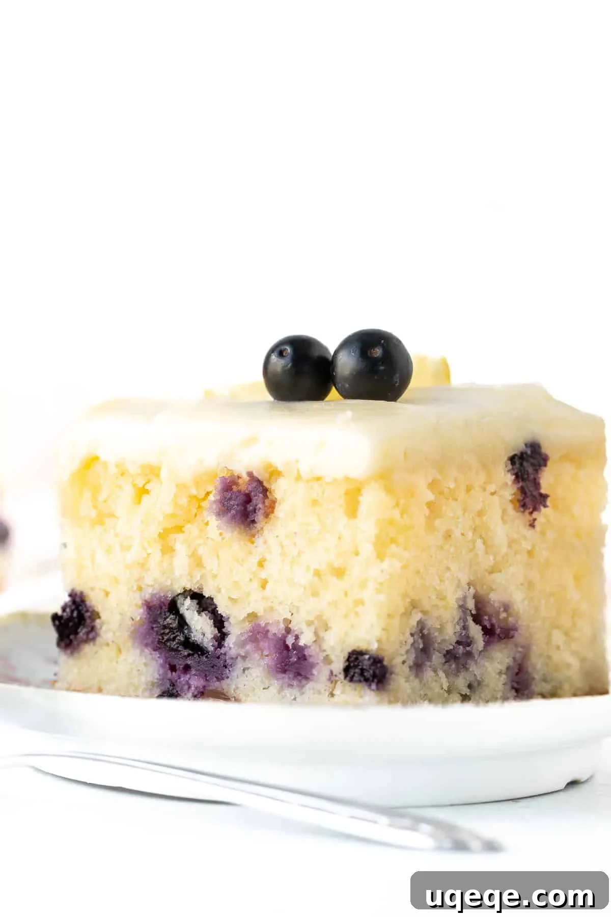 Sunshine Lemon Blueberry Cake 9 A delectable slice of lemon blueberry sheet cake, showcasing its moist texture and rich cream cheese icing.