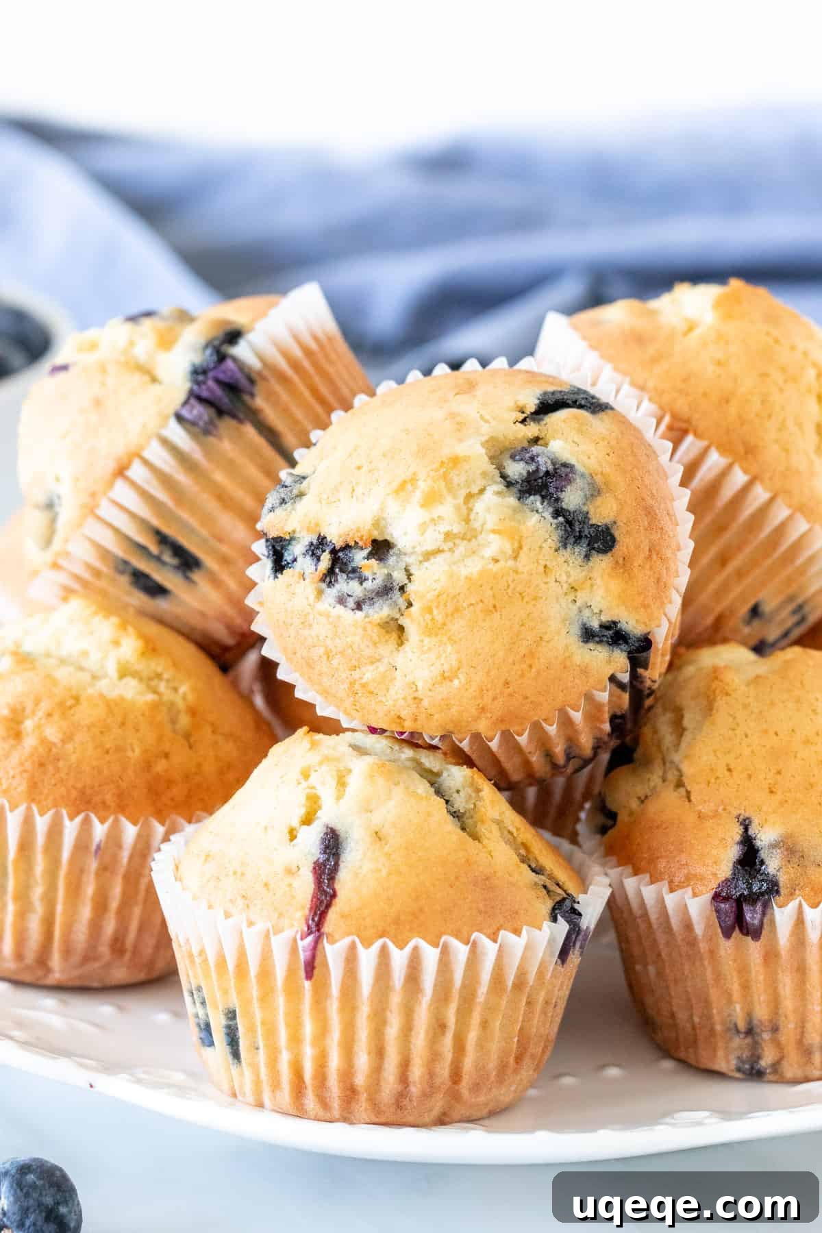 Bake Irresistible Blueberry Muffins Fast 3 Plate of homemade sour cream blueberry muffins, showcasing their golden-brown tops