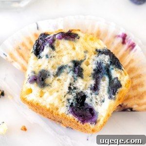 Half of a blueberry muffin