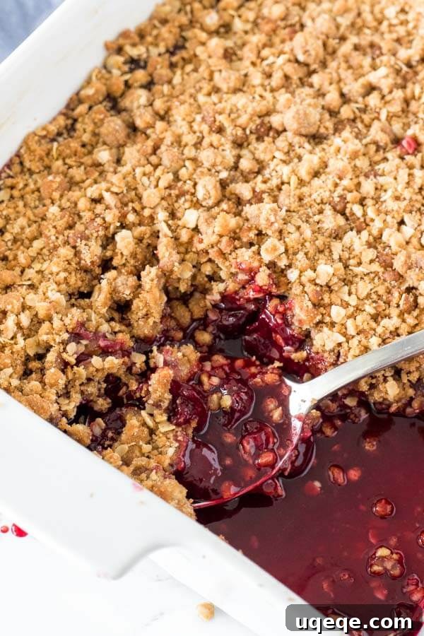 Crisp Cherry Bake 5 A 9x13 inch baking pan of freshly baked cherry crisp, hot from the oven, with a close-up view of a serving spoon revealing the tender, juicy cherries beneath the golden crumble topping.
