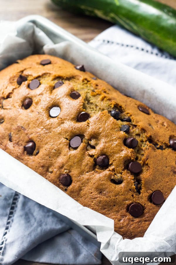 Decadent Chocolate Chip Zucchini Loaf 3 A close-up of a freshly baked loaf of chocolate chip zucchini bread, showing its golden-brown crust and moist interior studded with chocolate chips.