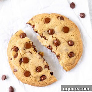 A large chocolate chip cookie, broken in half, revealing its delightfully gooey and chocolate-rich interior, signifying a perfect single-serving treat.