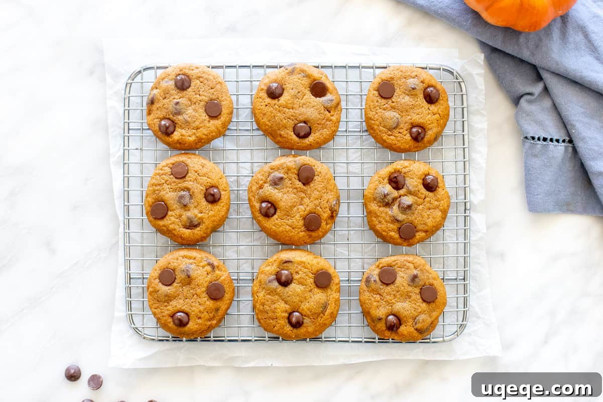 Soft-Baked Pumpkin Chocolate Chip Delights 3 Soft pumpkin chocolate chip cookies cooling on a wire rack, showcasing their inviting texture.