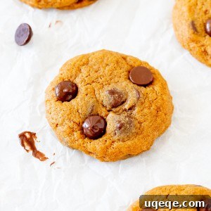 A freshly baked pumpkin chocolate chip cookie, perfectly round with visible chocolate chips.