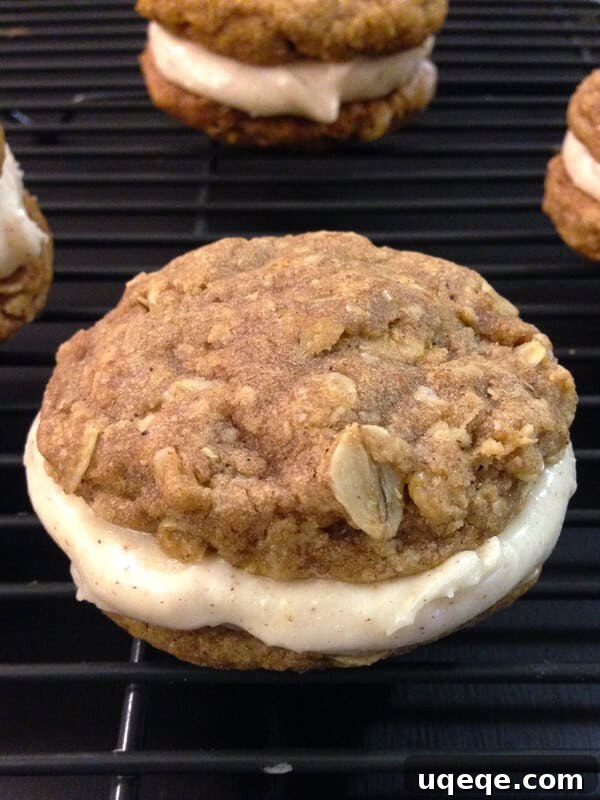 Nutty Brown Butter Oatmeal Sandwich Cookies 4 Stacked Oatmeal Sandwich Cookies