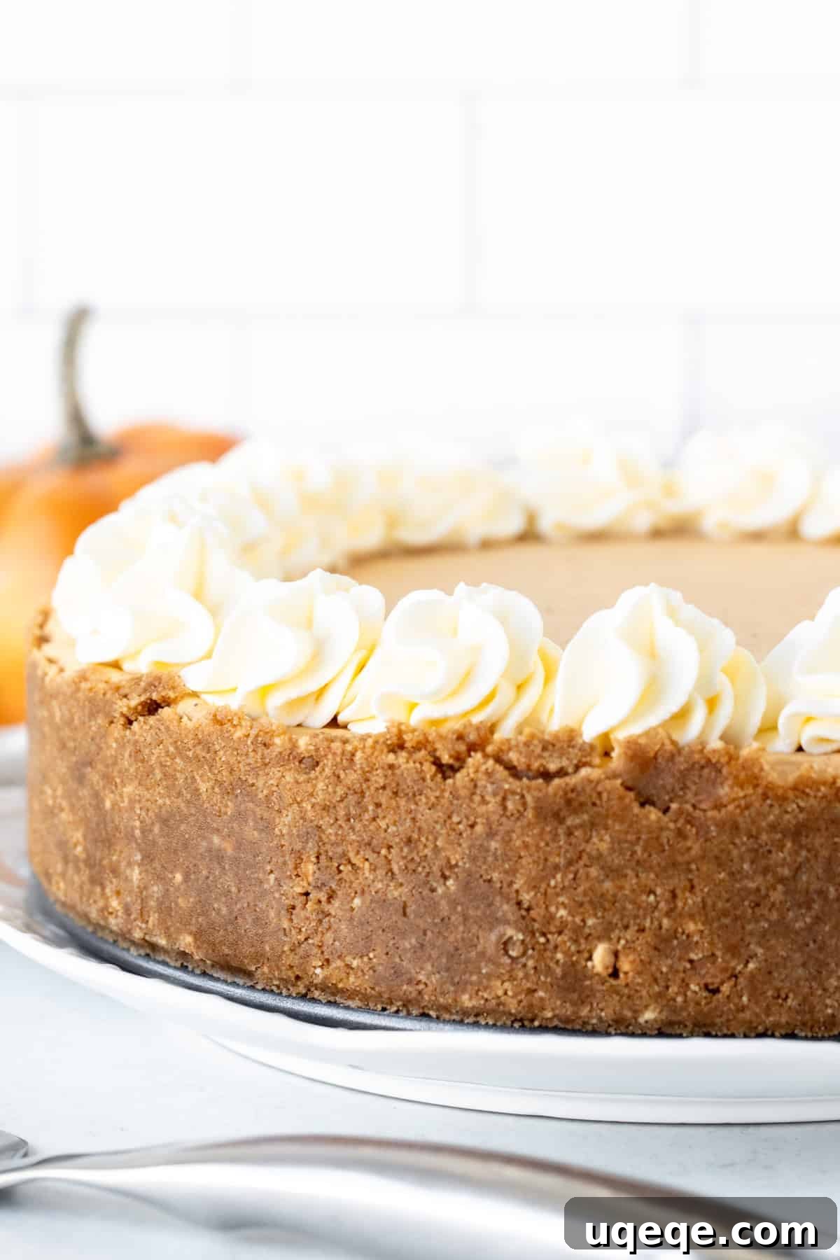 Velvety No-Bake Pumpkin Cheesecake 3 A pristine 9-inch round no-bake pumpkin cheesecake, showcasing a thick, golden cinnamon graham cracker crust lining the edges and elegantly crowned with generous dollops of whipped cream.