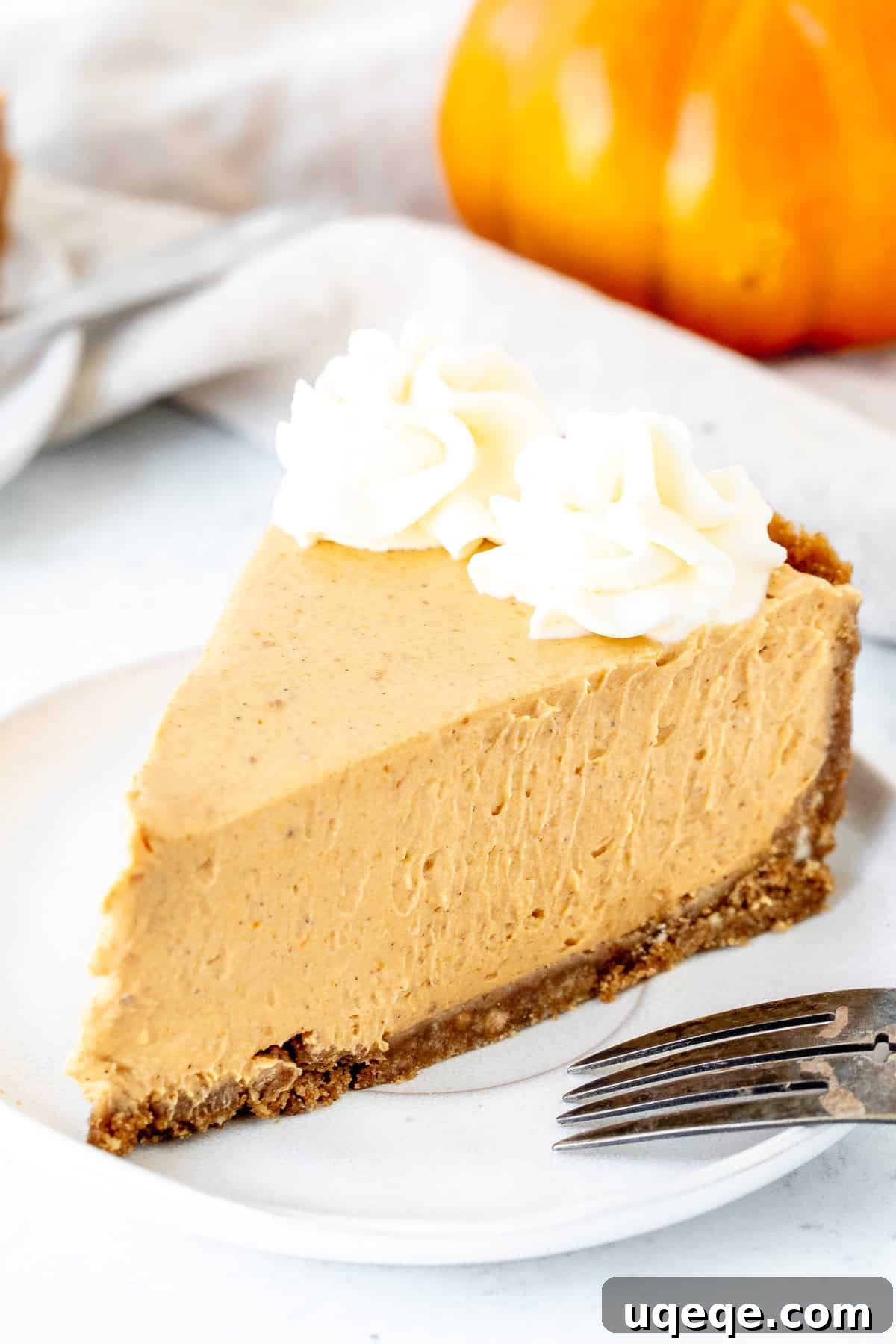 Velvety No-Bake Pumpkin Cheesecake 8 A beautifully presented piece of pumpkin cheesecake, featuring a rich cinnamon graham cracker crust and elegantly topped with a generous swirl of whipped cream, captures the essence of a perfect fall dessert.
