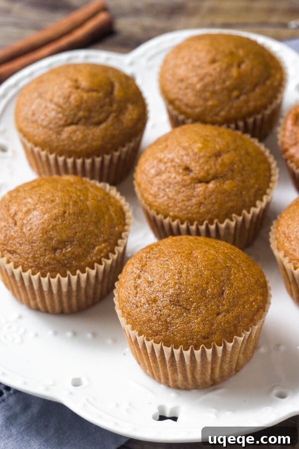 Pumpkin spice cupcakes are moist, flavorful and filled with the goodness of real pumpkin.