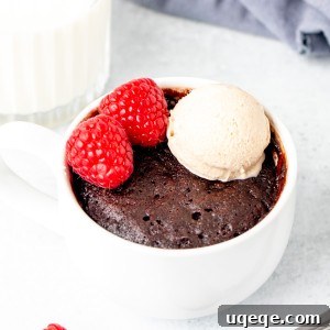 Chocolate mug cake with a scoop of ice cream on top.