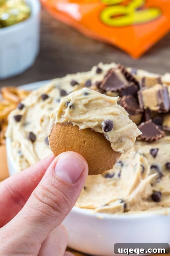 Decadent Peanut Butter Cheesecake Delight 3 A close-up shot of a generous bowl of creamy peanut butter cheesecake dip, perfectly paired with a variety of dippers including classic Nilla wafers, salty pretzels, chocolate sandwich cookies, and plain cookies, highlighting its versatility as a party snack.