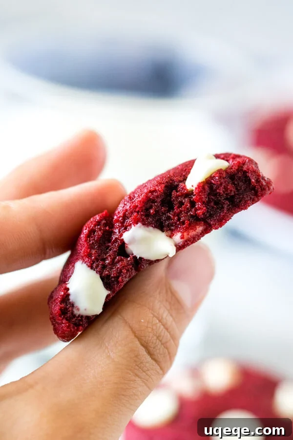 Red Velvet Cake Mix Delights 5 A hand holding a perfectly baked red velvet cake mix cookie, showcasing its soft interior and abundant white chocolate chips.
