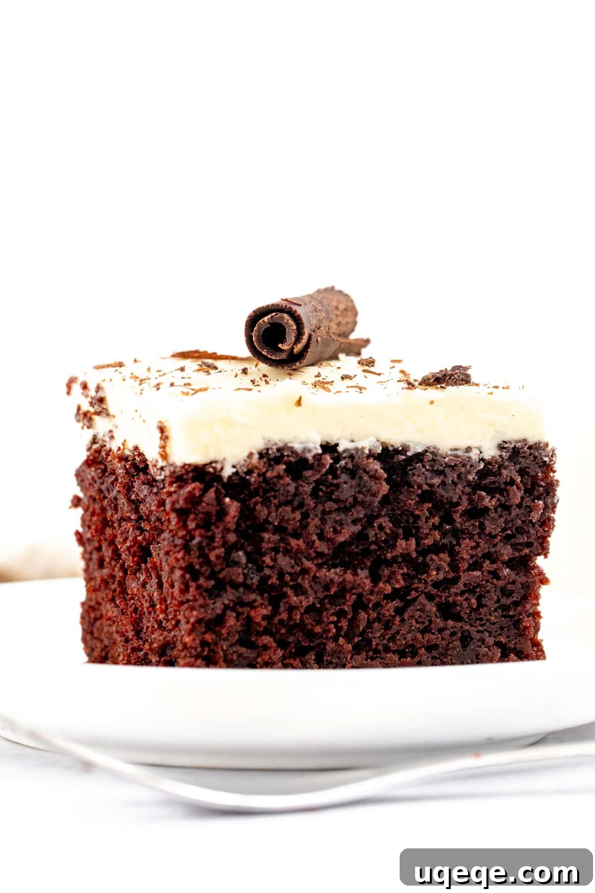 Velvet Chocolate, Cloud-White Topping 2 Slice of moist chocolate cake with white chocolate frosting and a chocolate curl on top