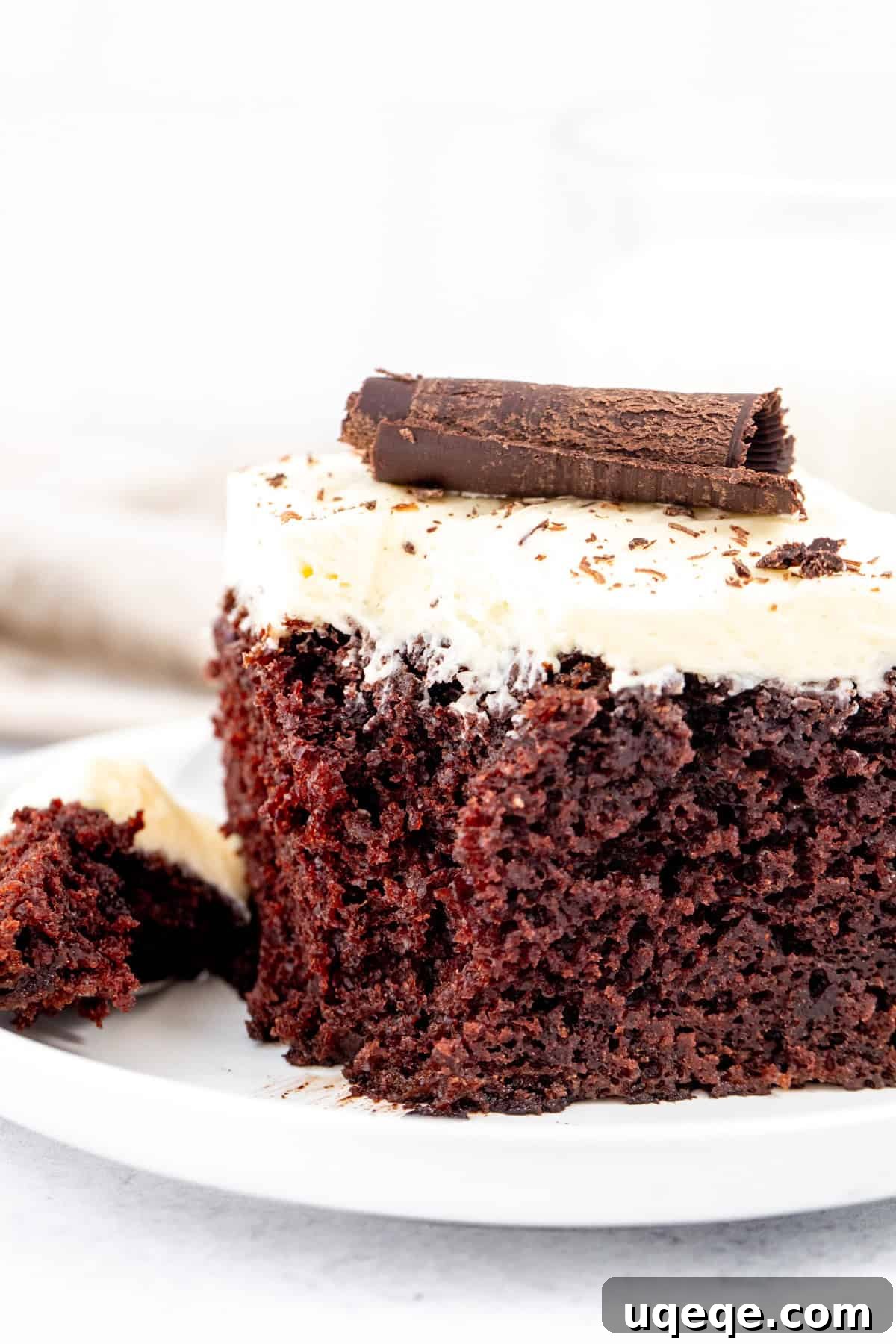 Velvet Chocolate, Cloud-White Topping 5 fudgy chocolate cake with white chocolate buttercream and a chocolate curl on top