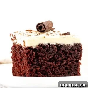 Slice of chocolate cake with white chocolate frosting