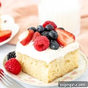Slice of vanilla sheet cake with whipped cream and berries