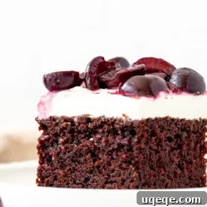 Black Forest Sheet Cake Recipe with Chocolate and Cherries 5 Slice of black forest sheet cake